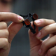 Image: YouTube/Stanford